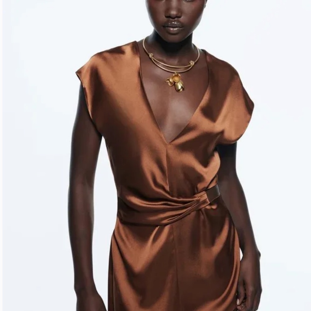 Zara | Brown Silk Zara Dress - Picture 3 of 8